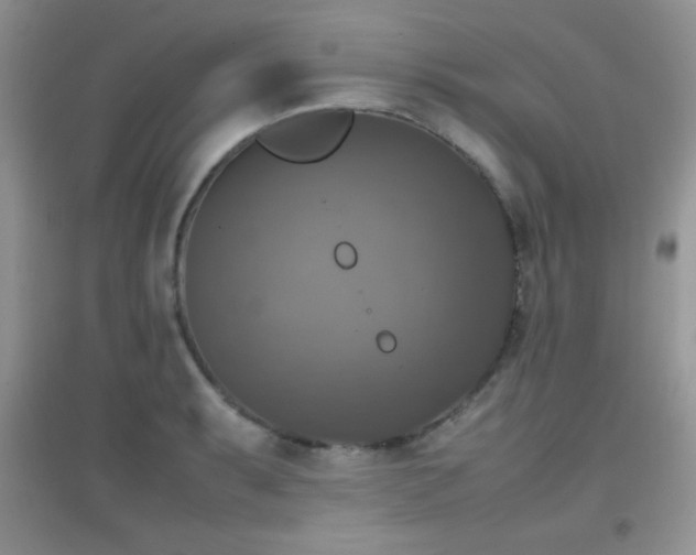 X0000097001087200802081439