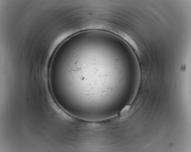 X0000097001088200802081438