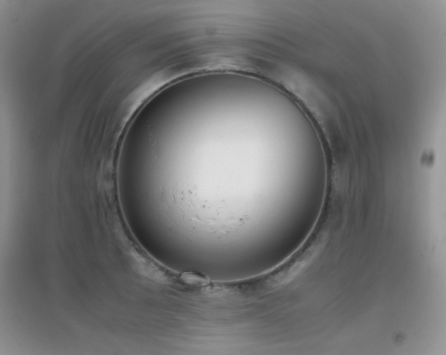 X0000097001089200802081438