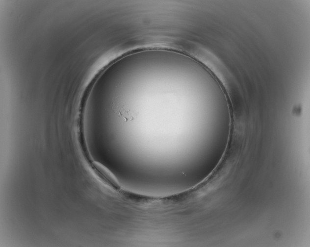 X0000097001093200802081438