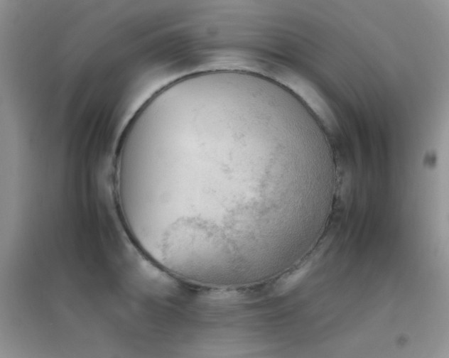 X0000097001094200802081438