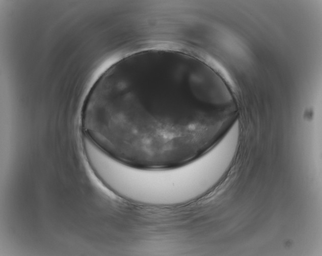 X0000097001095200802081438