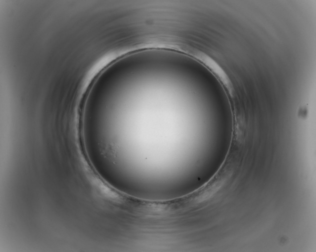 X0000097001096200802081438