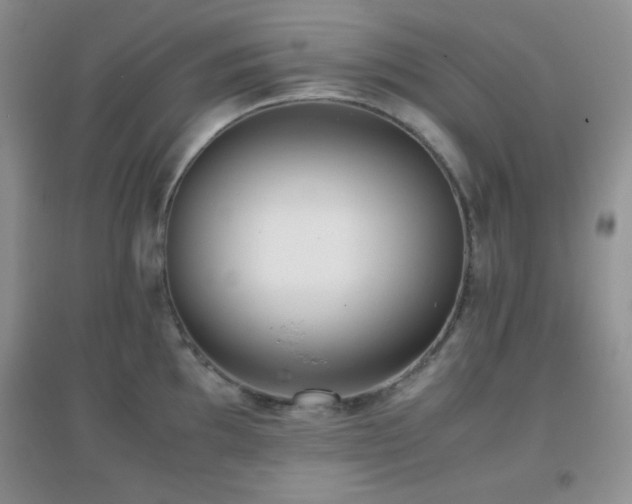 X0000097001097200802081438
