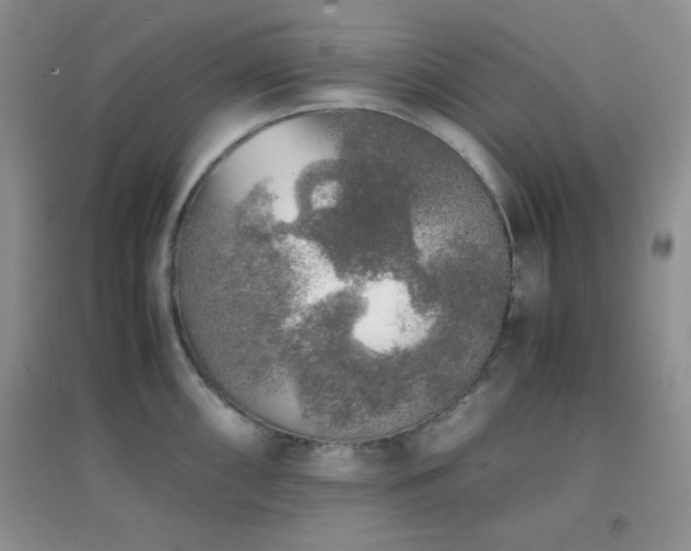 X0000097001098200802081438