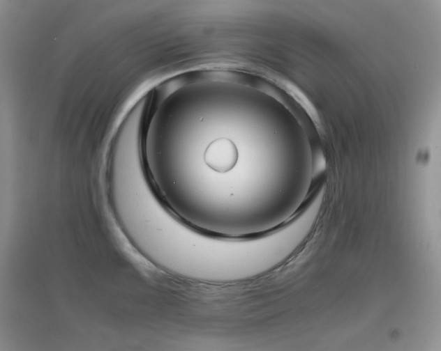 X0000097001099200802081438
