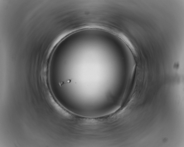 X0000097001100200802081438