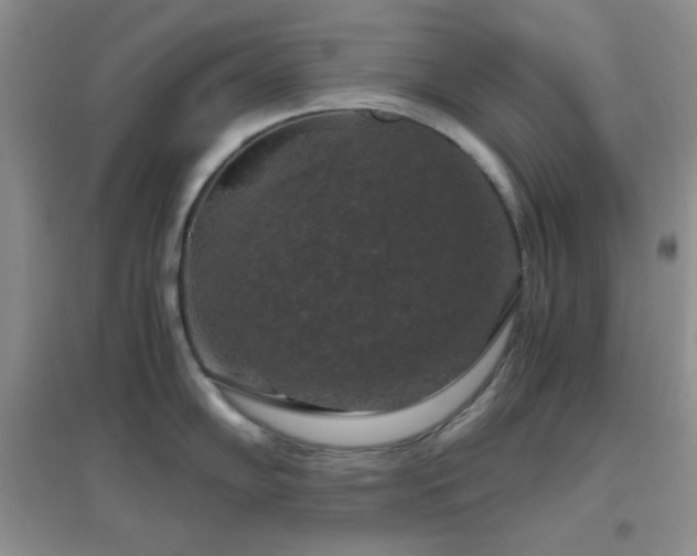 X0000097001102200802081438