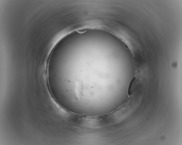 X0000097001103200802081438