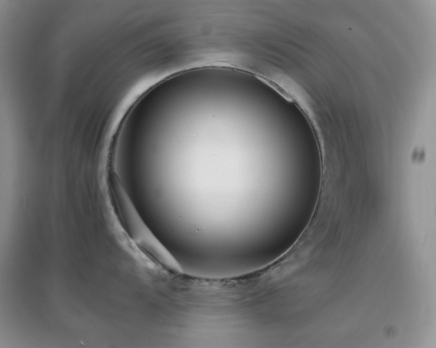 X0000097001104200802081438