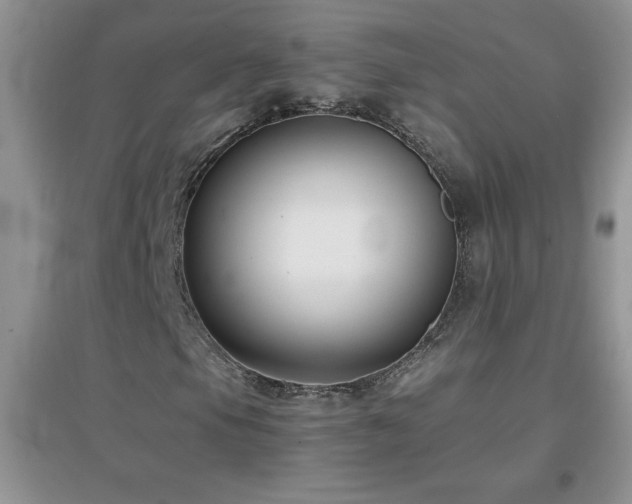 X0000097001105200802081437
