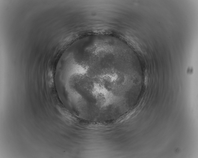 X0000097001106200802081437