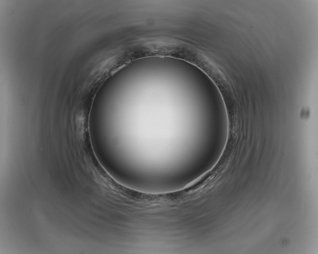 X0000097001108200802081437