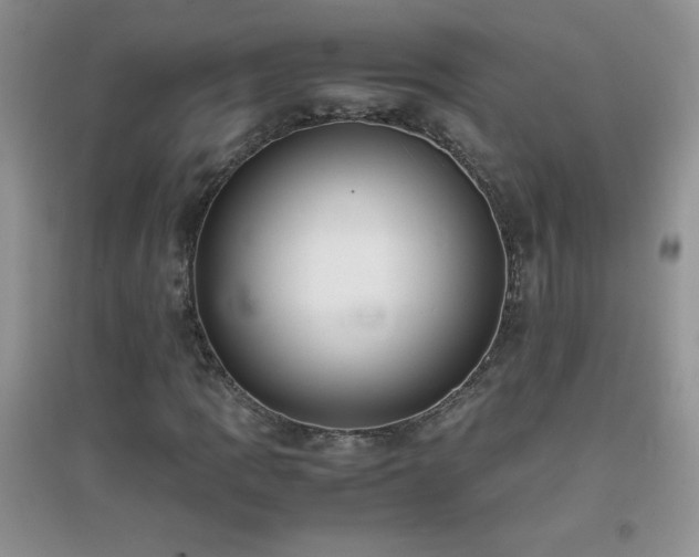 X0000097001109200802081437