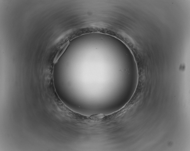 X0000097001110200802081438