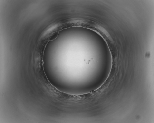 X0000097001111200802081438