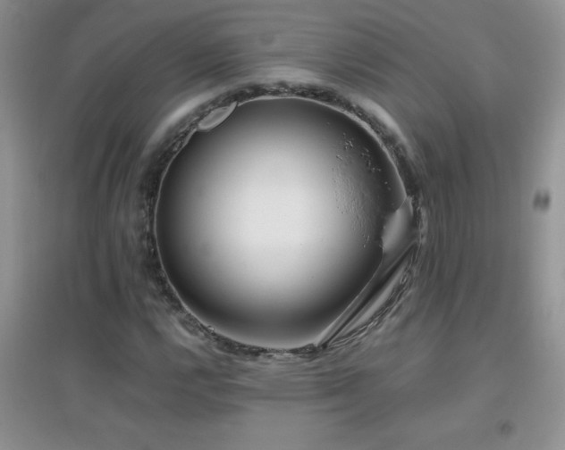 X0000097001112200802081438