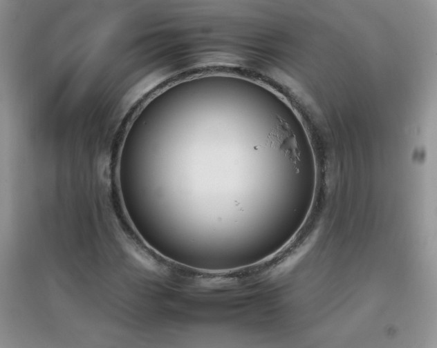 X0000097001113200802081438