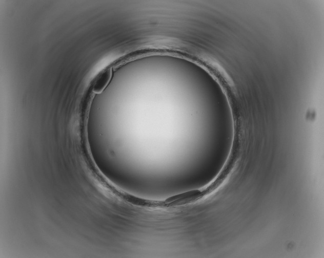 X0000097001114200802081438