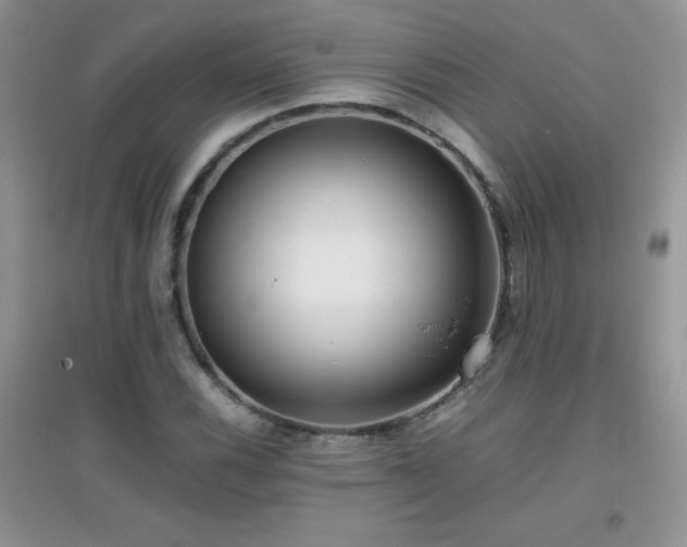 X0000097001116200802081438