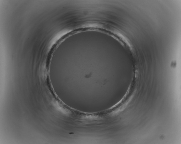 X0000097001117200802081438