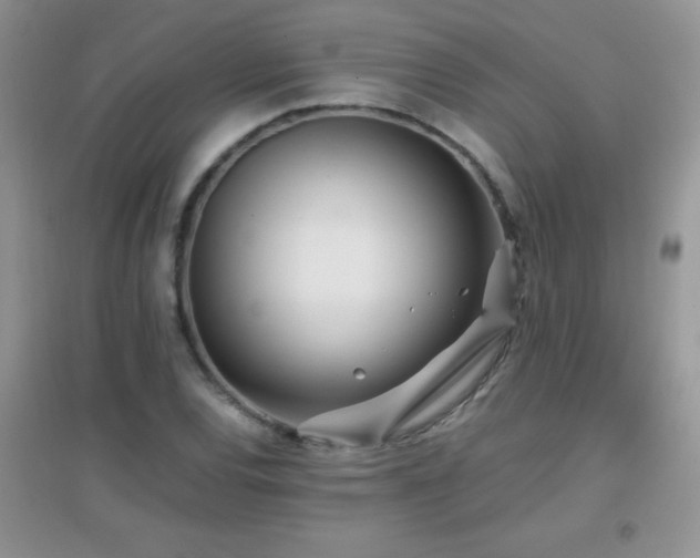 X0000097001120200802081438