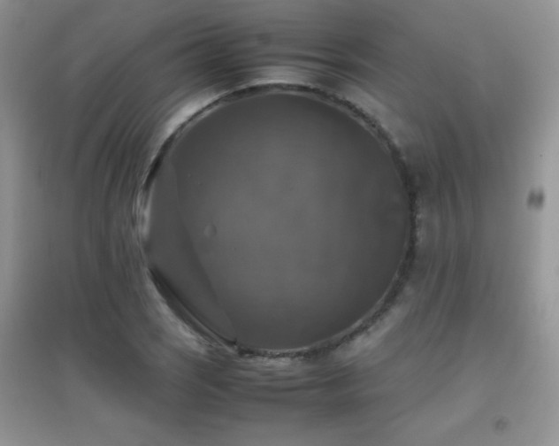 X0000097001121200802081438