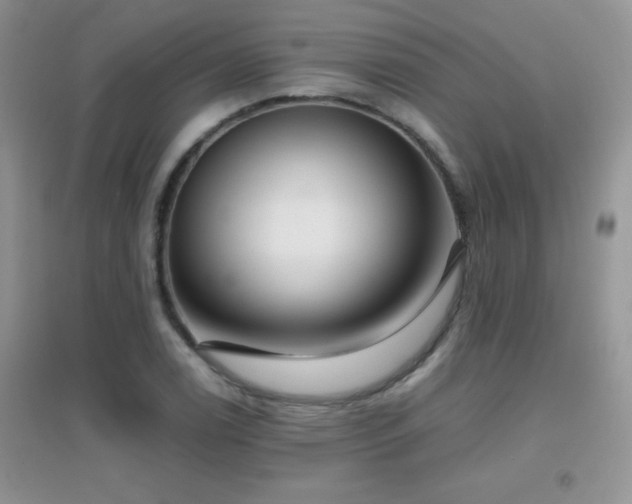 X0000097001122200802081438