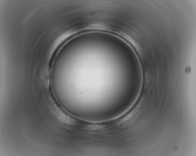 X0000097001123200802081438