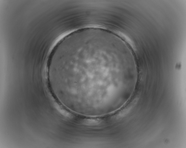 X0000097001125200802081438