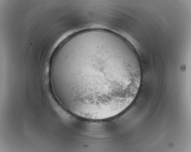 X0000097001126200802081438