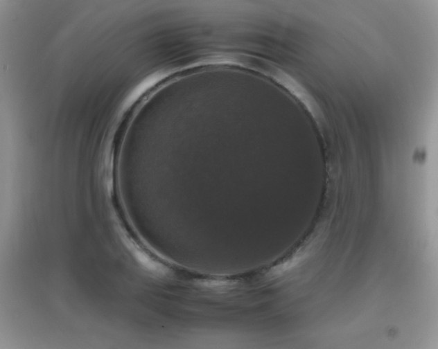 X0000097001127200802081438
