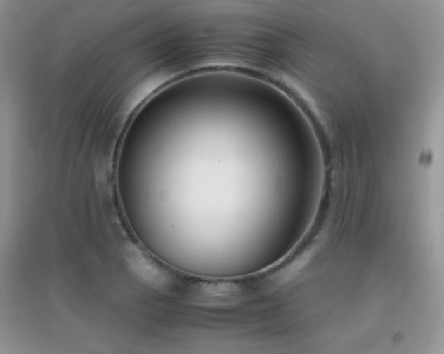 X0000097001129200802081438
