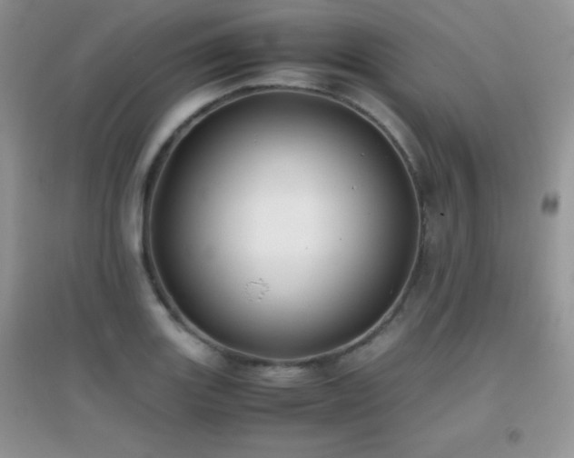 X0000097001131200802081438