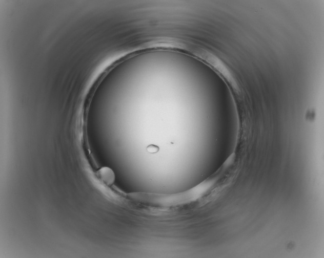 X0000097001132200802081438