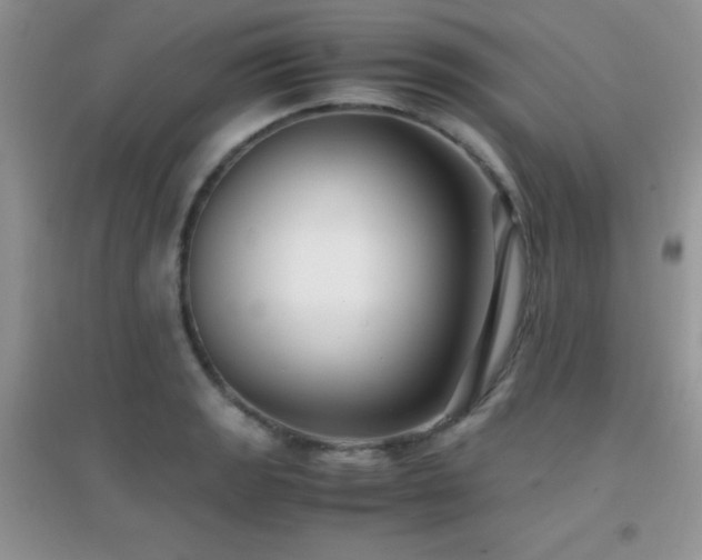 X0000097001133200802081438