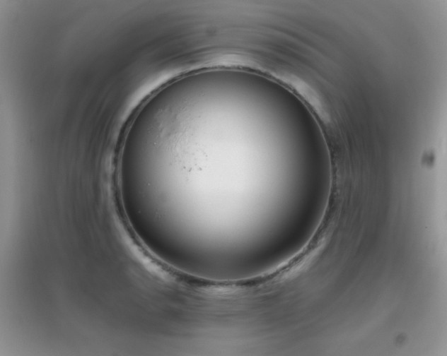 X0000097001134200802081438
