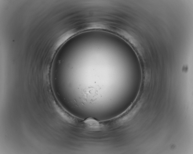 X0000097001137200802081438