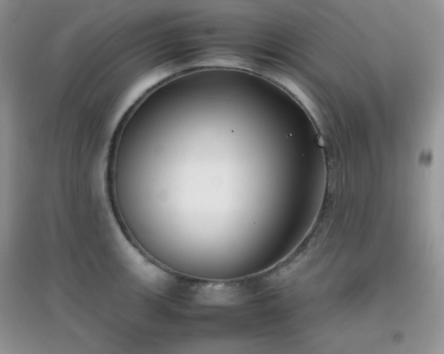 X0000097001139200802081438