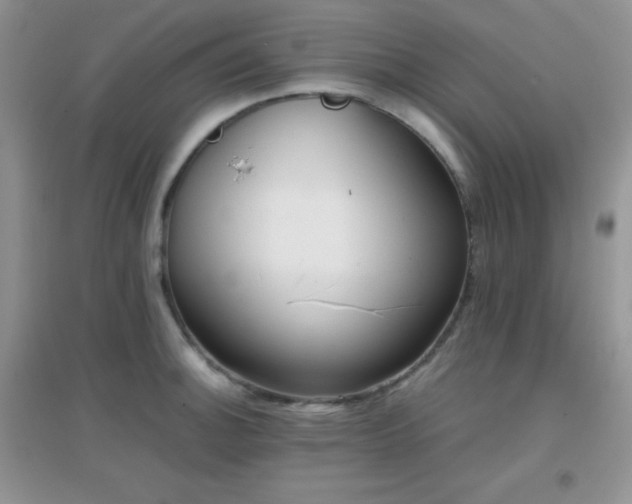 X0000097001140200802081438