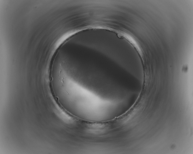 X0000097001141200802081438
