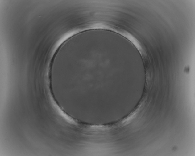 X0000097001142200802081438