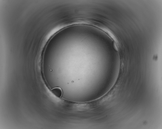 X0000097001143200802081438