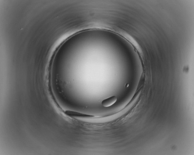 X0000097001144200802081438