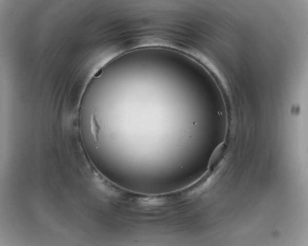 X0000097001145200802081438