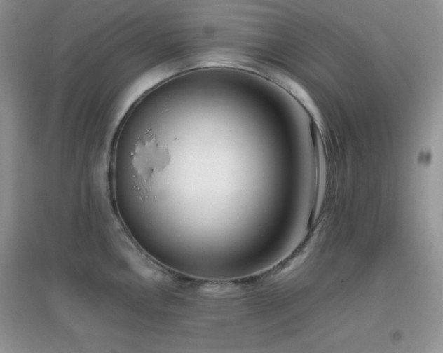 X0000097001146200802081438