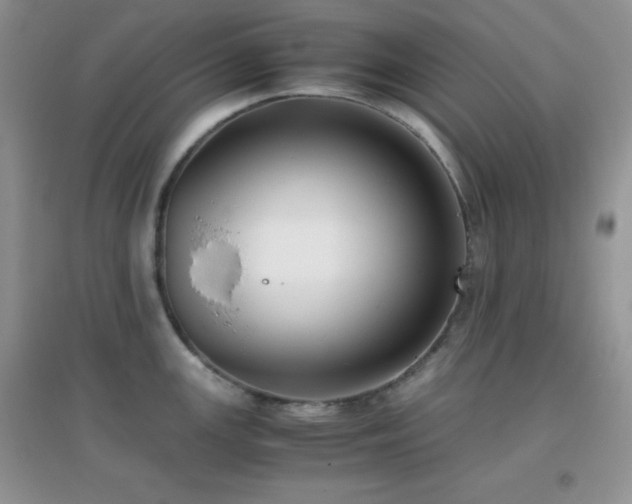 X0000097001147200802081438