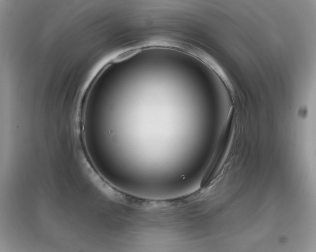 X0000097001148200802081438