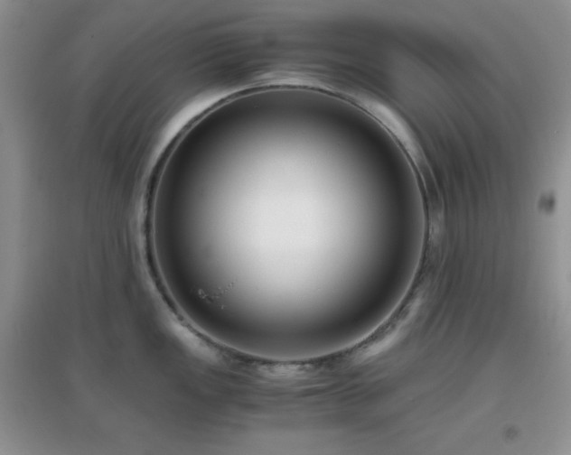 X0000097001149200802081438