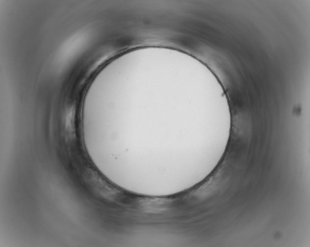 X0000097001150200802081438